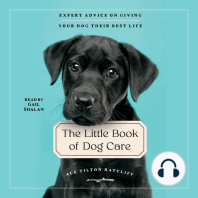 The Little Book of Dog Care