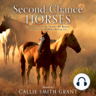 Second-Chance Horses