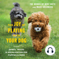 The Joy of Playing with Your Dog