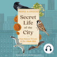 Secret Life of the City