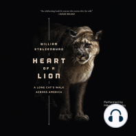 Heart of a Lion