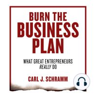 Burn the Business Plan
