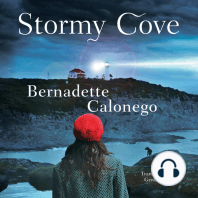 Stormy Cove