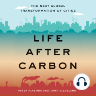 Life After Carbon