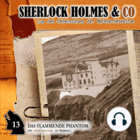 Sherlock Holmes & Co, Folge 13