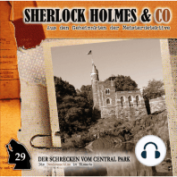 Sherlock Holmes & Co, Folge 29