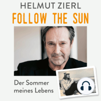 Follow the sun - Der Sommer meines Lebens (Ungekürzt)