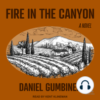 Fire in the Canyon