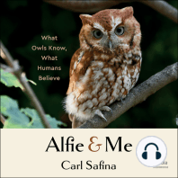 Alfie and Me: What Owls Know, What Humans Believe