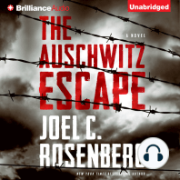 The Auschwitz Escape