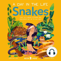 Snakes (A Day in the Life)