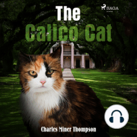 The Calico Cat