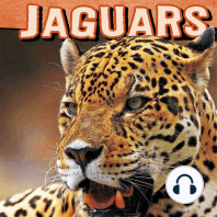 Jaguars