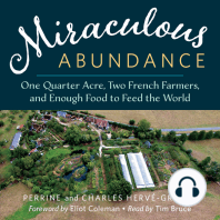 Miraculous Abundance