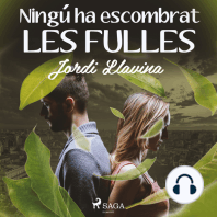 Ningú ha escombrat les fulles