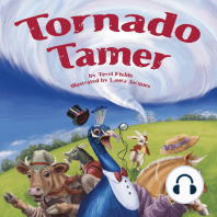 Tornado Tamer