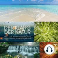 Der Klang der Natur - Wald, Bach, Regen & Meer (ohne Musik) - XXL-Bundle