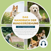 Das Handbuch der Hundeerziehung - 4 in 1 Sammelband