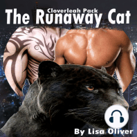 The Runaway Cat