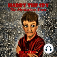 Harry The Spy