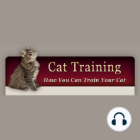 How to Train Your Cat