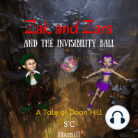 Zak and Zara and the Invisibility Ball