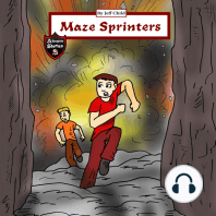 Maze Sprinters