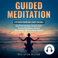 Guided Meditation - Stop Procrastination NOW & Achieve Your Goals