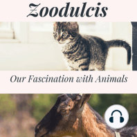 Zoodulcis