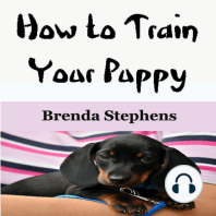 How to Train Your Puppy