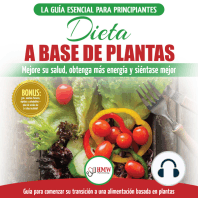 Dieta A Base De Plantas