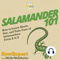 Salamander 101