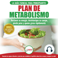 Plan De Metabolismo