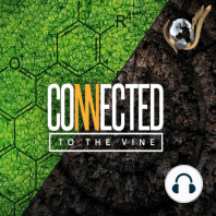 Connected To The Vine