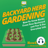 Backyard Herb Gardening