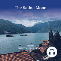 The Saline Moon