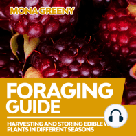 Foraging Guide