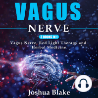 Vagus Nerve