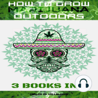 How to Grow Marijuana Outdoors