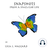 Snapshots from a Singular Life