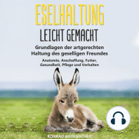 Eselhaltung leicht gemacht