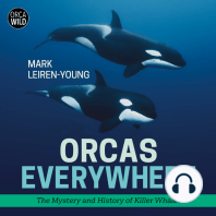 Orcas Everywhere