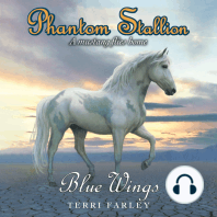 Phantom Stallion