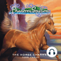 Phantom Stallion, Wild Horse Island