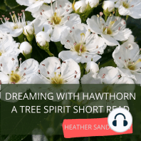 Dreaming with Hawthorn