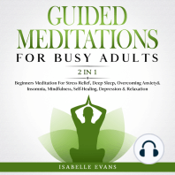 Guided Meditations For Busy Adults (2 in 1)