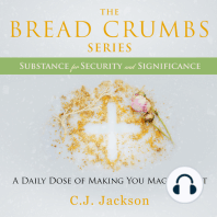 The Breadcrumbs Series - Substance for Security and Significance