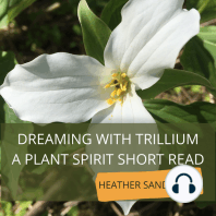 Dreaming with Trillium