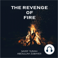 The Revenge of Fire