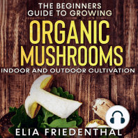 The Beginners Guide to Growing Organic Mushrooms